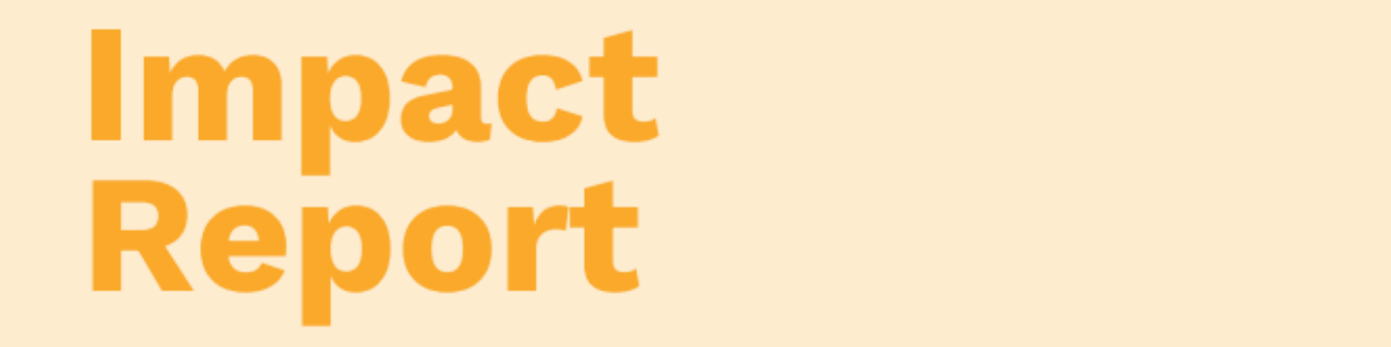 Our impact: changing the story for women this year