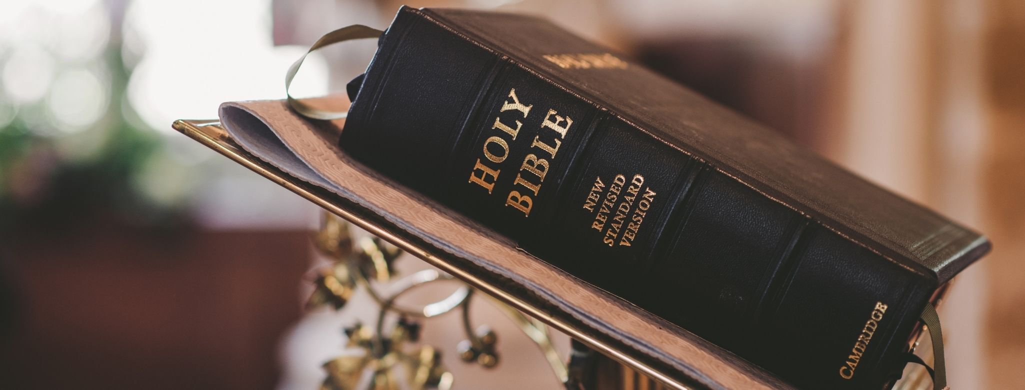 The Bible does allow divorce for domestic abuse