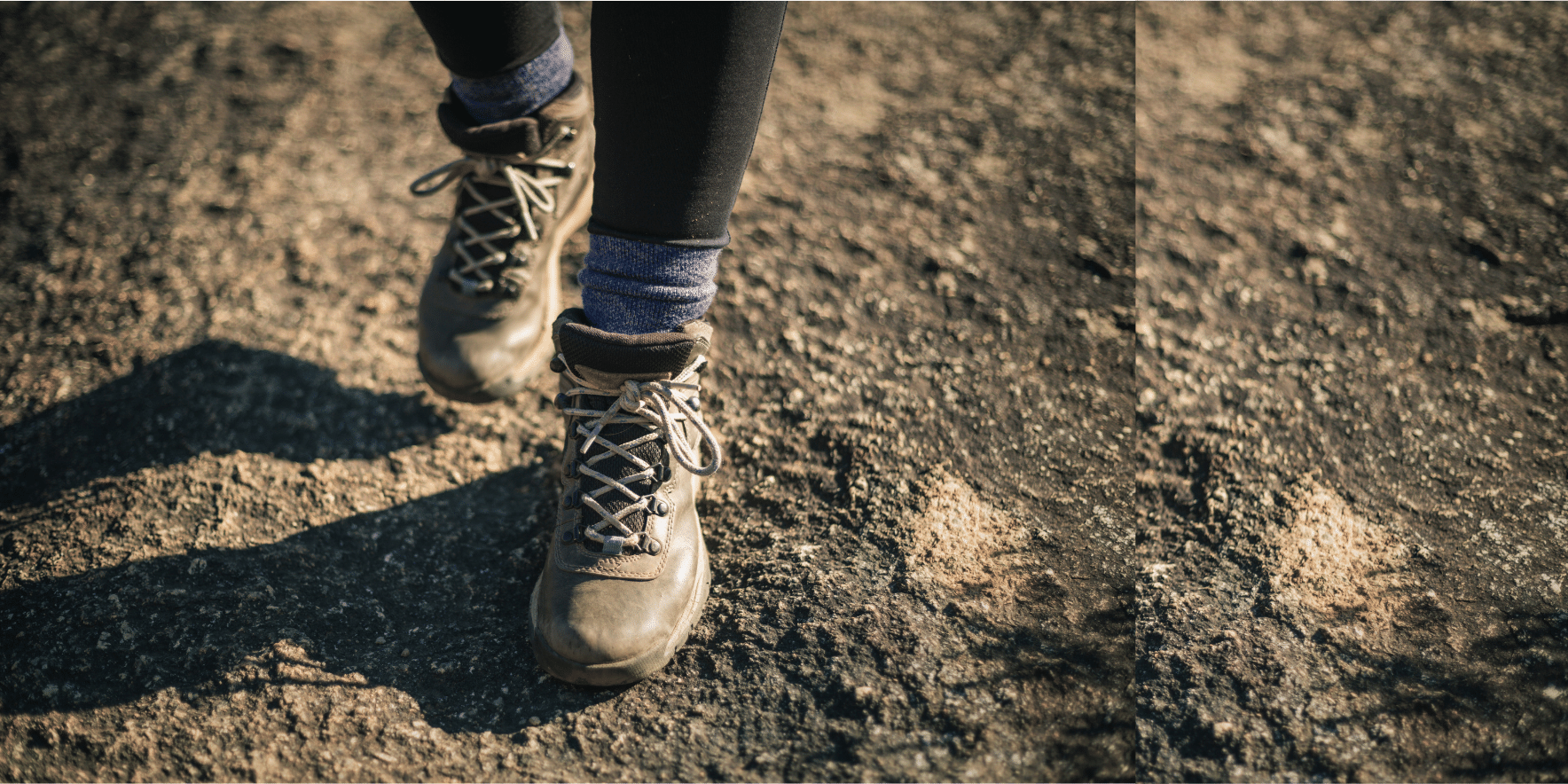 Rosemary’s footsteps