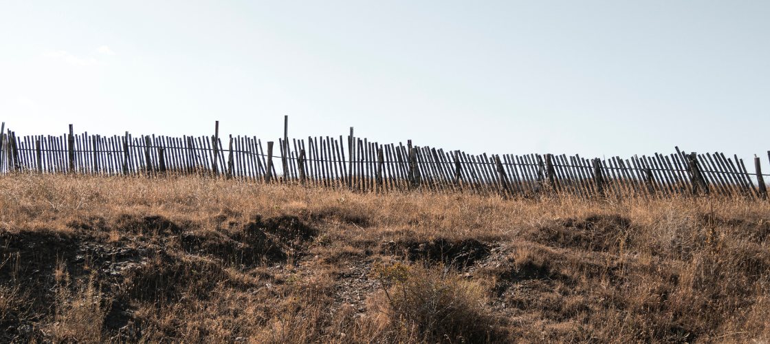 Boundaries’ vs ‘Control’?